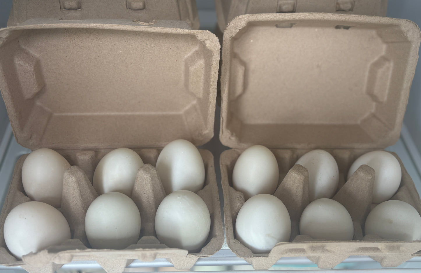 1/2 dozen Duck eggs