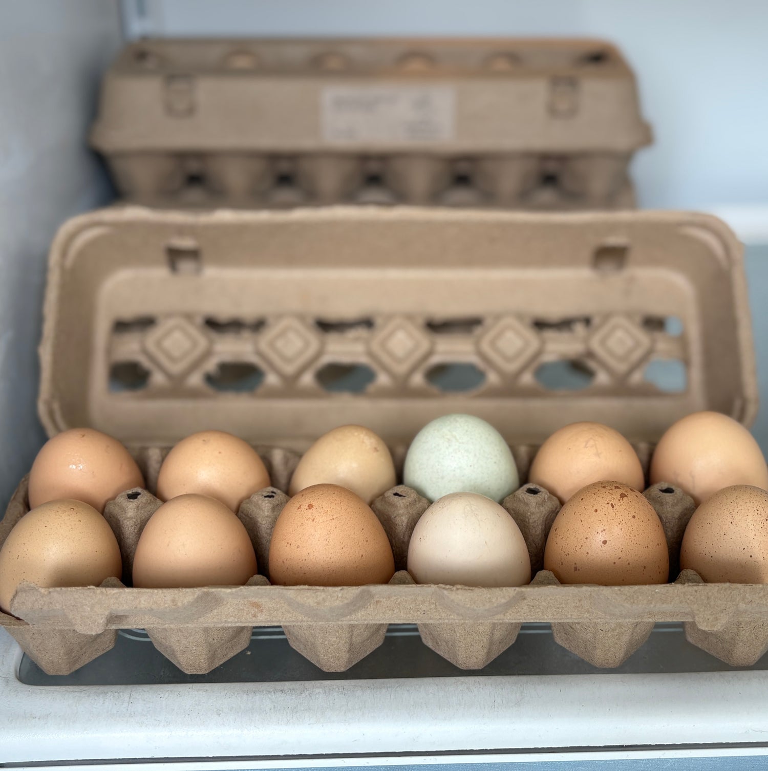 Eggs