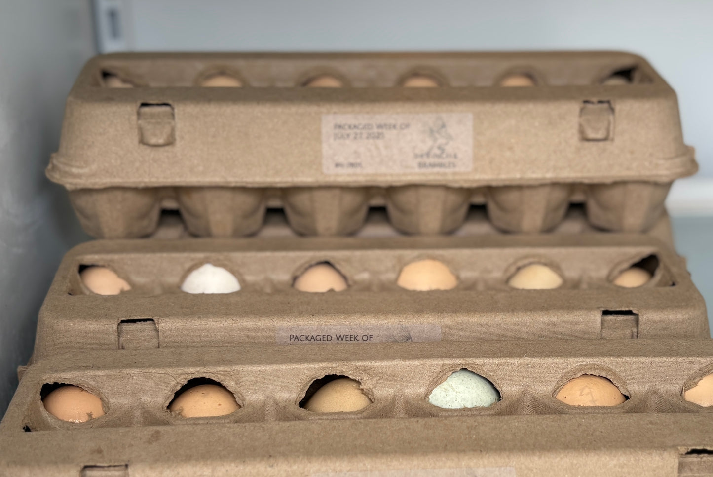 1 dozen chicken eggs